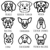 Dog Breed Christmas Pyjamas