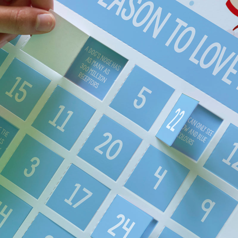 Puppy Christmas Advent Calendar